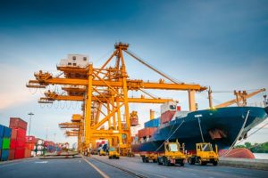 WhatsApp Image 2023-12-13 at 11.24.57_ce0341e8