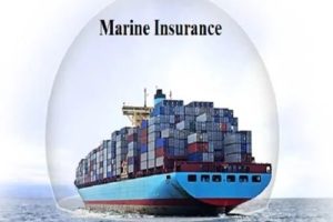 WhatsApp Image 2023-12-13 at 11.26.07_b9ca1702